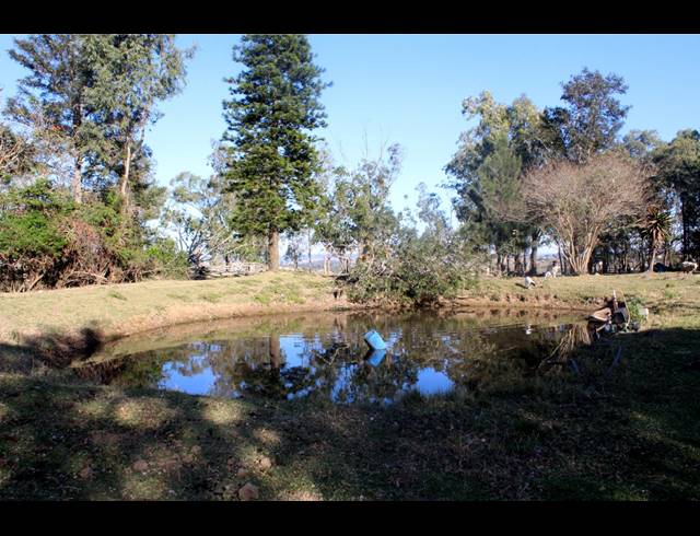 231HA FARM FOR SALE IN EAST LONDON RURAL